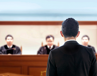 The back of an attorney's head as he faces 3 judges.